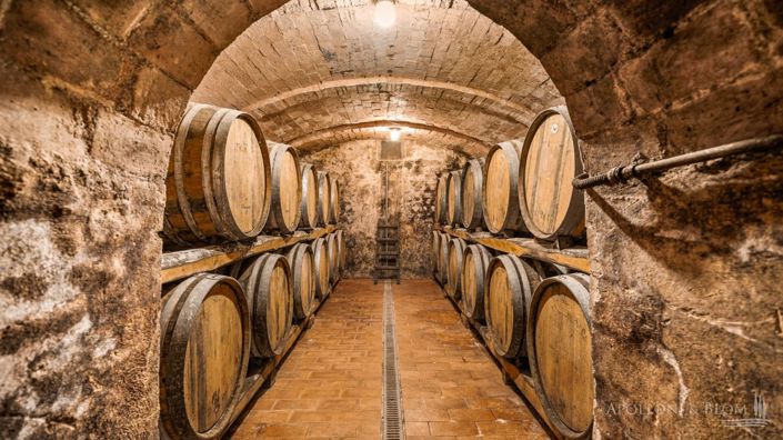 Image No.29-4 Bed Vineyard for sale