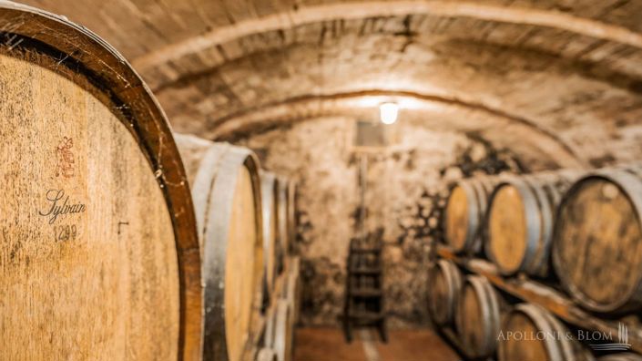 Image No.30-4 Bed Vineyard for sale