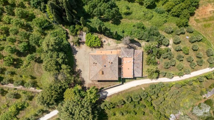 Image No.7-4 Bed Vineyard for sale