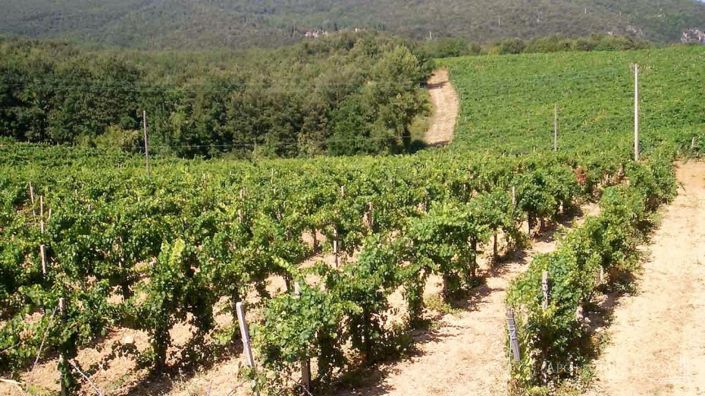 Image No.11-25 Bed Apartment for sale