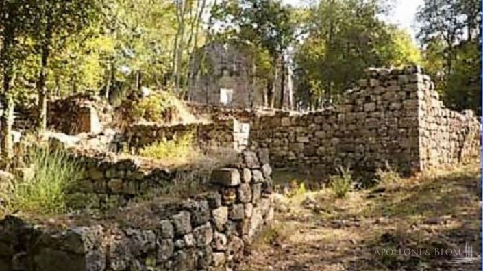 Image No.7-25 Bed Apartment for sale