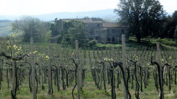 Image No.8-25 Bed Apartment for sale