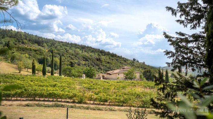 Image No.27-32 Bed Vineyard for sale