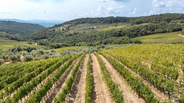 Image No.28-32 Bed Vineyard for sale