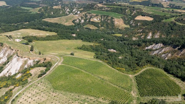 Image No.11-Appartement de 11 chambres à vendre à Asciano