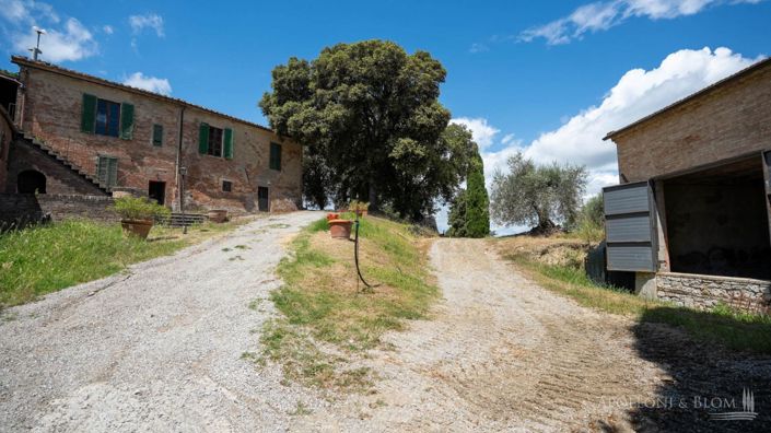 Image No.21-Appartement de 11 chambres à vendre à Asciano