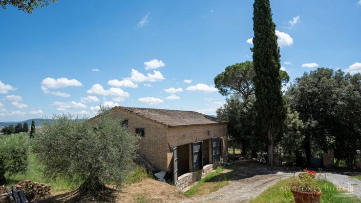 Image No.22-Appartement de 11 chambres à vendre à Asciano