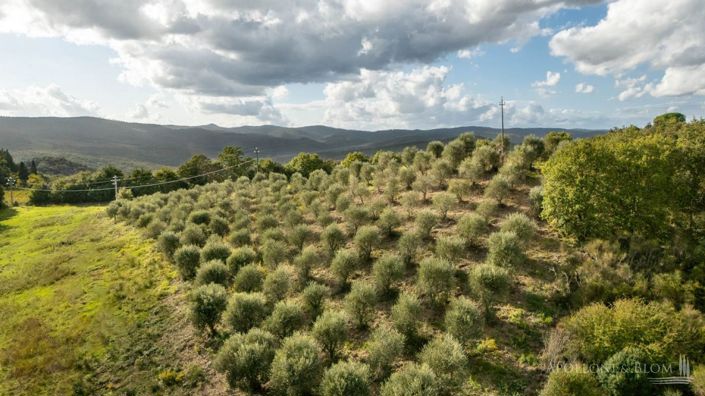 Image No.13-8 Bed Apartment for sale