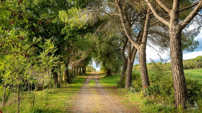 Image No.5-8 Bed Apartment for sale