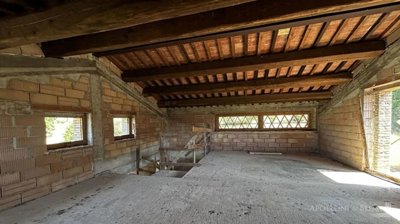 g202503151124166439