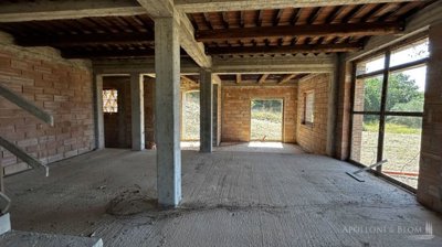 g202503151124187410