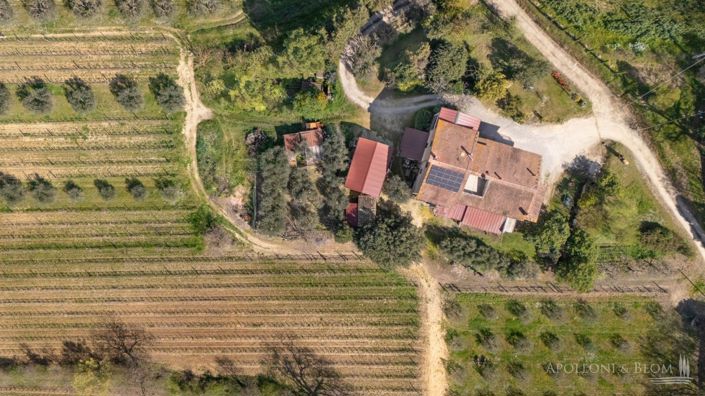 Image No.25-4 Bed Vineyard for sale