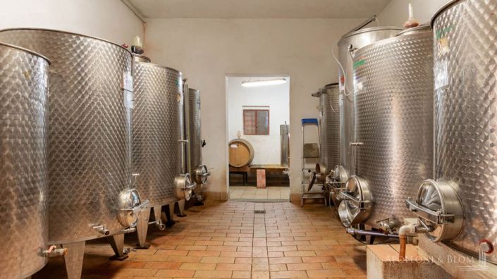 Image No.28-4 Bed Vineyard for sale