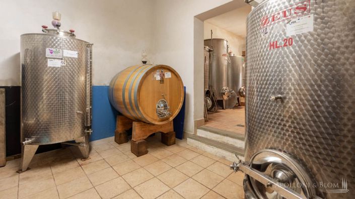 Image No.29-4 Bed Vineyard for sale