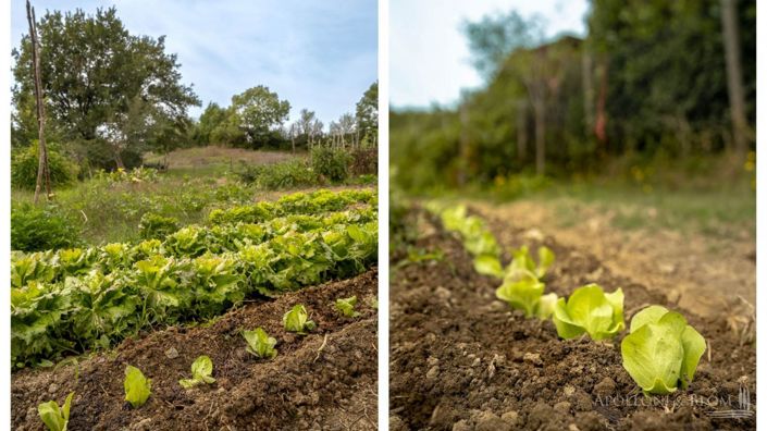 Image No.28-4 Bed Apartment for sale