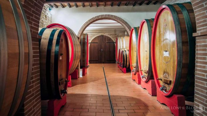 Image No.1-Vignoble de 15 chambres à vendre à Montepulciano