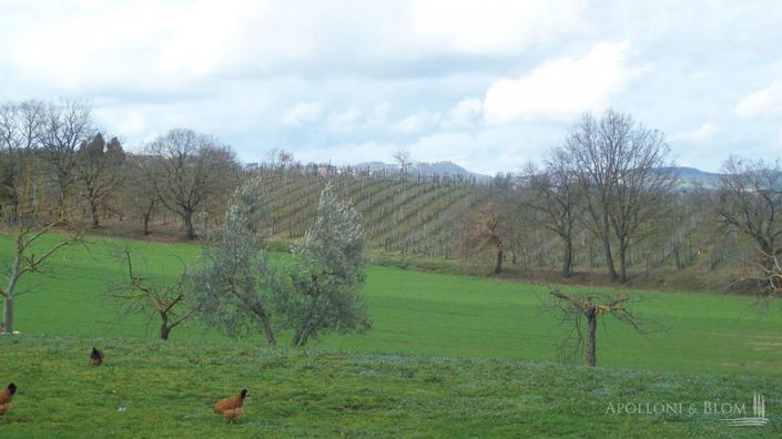 Image No.16-Vignoble de 5 chambres à vendre à Montepulciano
