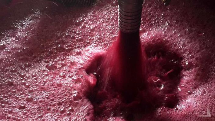 Image No.17-Vignoble de 5 chambres à vendre à Montepulciano