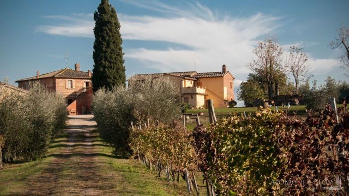 Image No.2-Vignoble de 5 chambres à vendre à Montepulciano