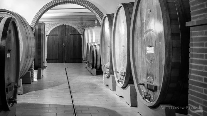 Image No.6-Vignoble de 5 chambres à vendre à Montepulciano