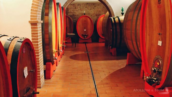 Image No.8-Vignoble de 5 chambres à vendre à Montepulciano