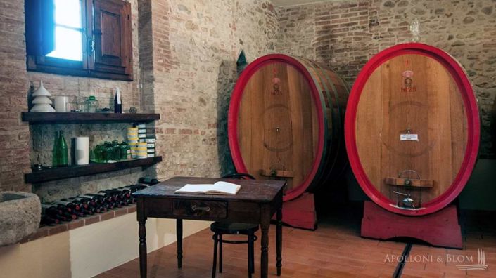 Image No.9-Vignoble de 5 chambres à vendre à Montepulciano