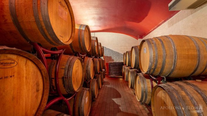 Image No.18-Vineyard for sale