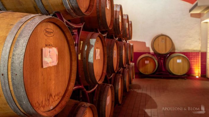 Image No.2-Vineyard for sale