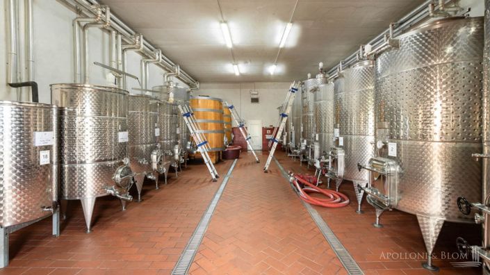 Image No.20-Vineyard for sale
