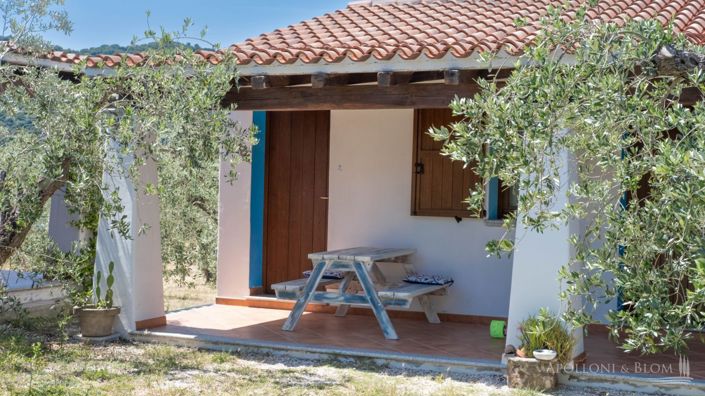 Image No.10-11 Bed Apartment for sale