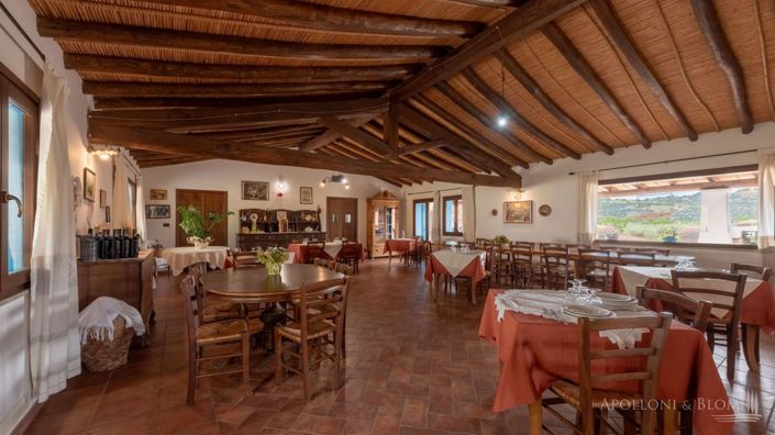 Image No.14-11 Bed Apartment for sale