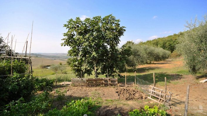 Image No.23-Appartement de 5 chambres à vendre à Pienza