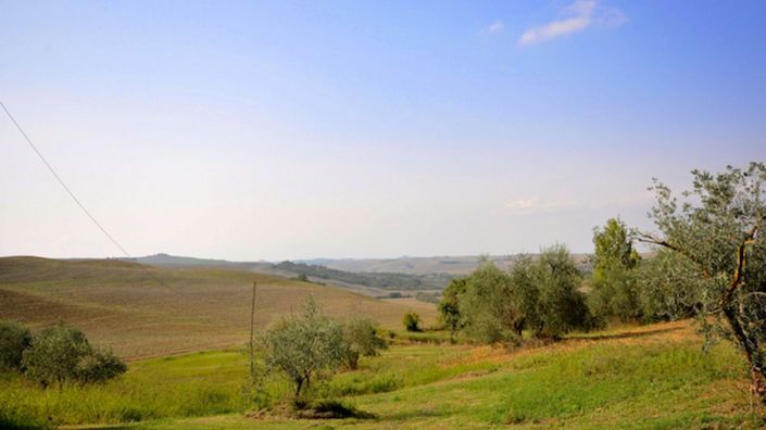 Image No.3-floorplan-3