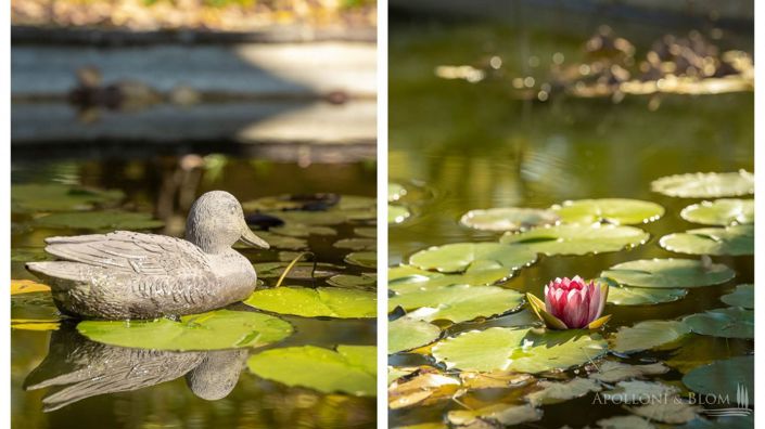 Image No.4-3 Bed Apartment for sale