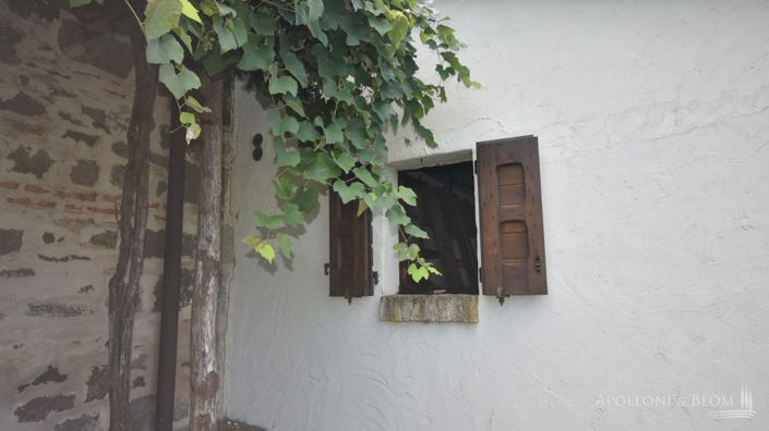 Image No.12-Appartement de 1 chambre à vendre à Radicofani