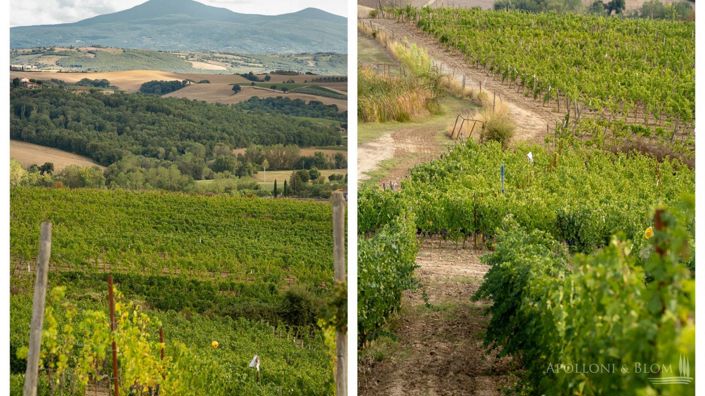 Image No.5-10 Bed Apartment for sale