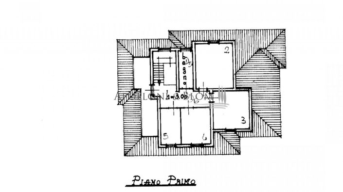 Image No.1-floorplan-1