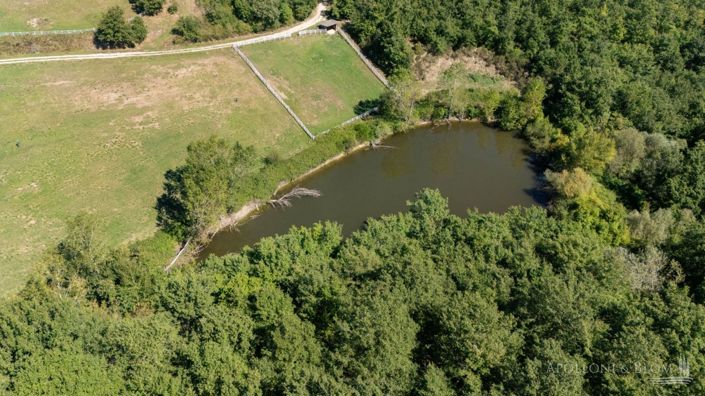 Image No.9-6 Bed Villa for sale