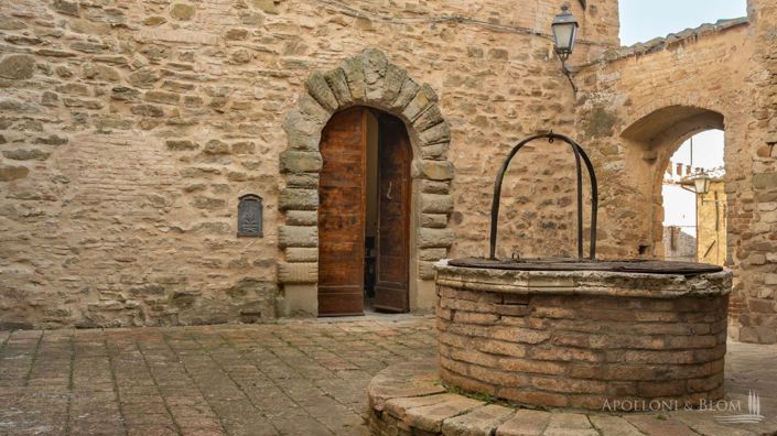 Image No.5-Châteaux de 9 chambres à vendre à Perugia