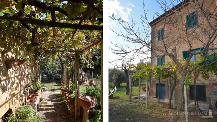 Image No.6-Appartement de 2 chambres à vendre à Pienza