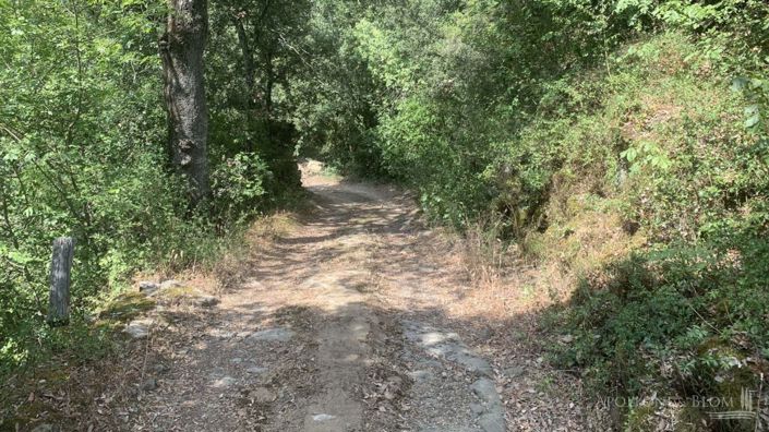 Image No.18-Appartement de 4 chambres à vendre à Cortona