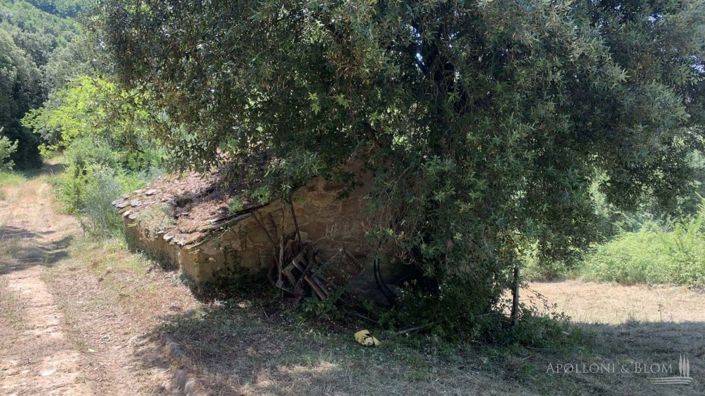 Image No.19-Appartement de 4 chambres à vendre à Cortona