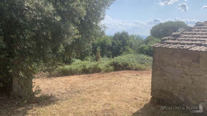 Image No.28-Appartement de 4 chambres à vendre à Cortona