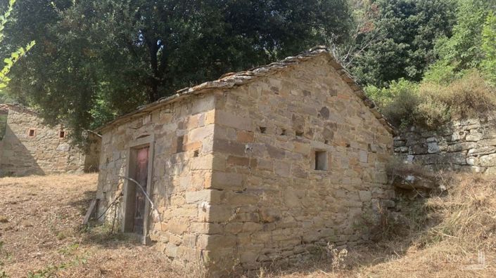 Image No.3-Appartement de 4 chambres à vendre à Cortona