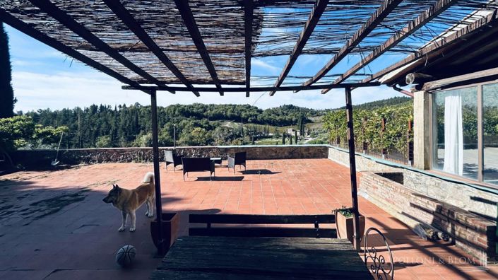 Image No.2-Appartement de 4 chambres à vendre à Castellina in Chianti