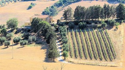 1 - Magliano in Toscana, Appartement