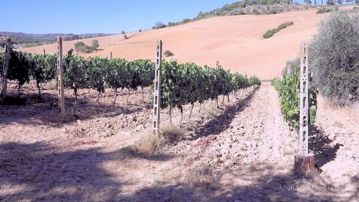 Image No.11-Appartement de 4 chambres à vendre à Magliano in Toscana