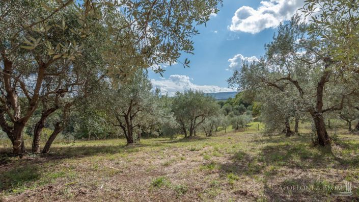Image No.12-Appartement de 4 chambres à vendre à Magliano in Toscana