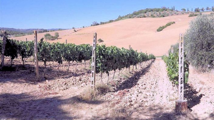 Image No.11-Appartement de 4 chambres à vendre à Magliano in Toscana