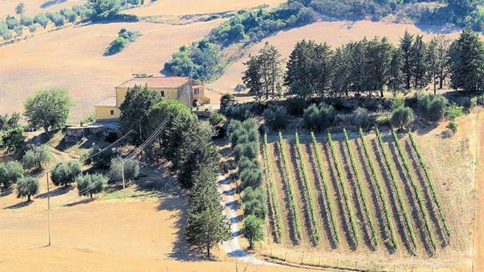 Image No.14-Appartement de 4 chambres à vendre à Magliano in Toscana